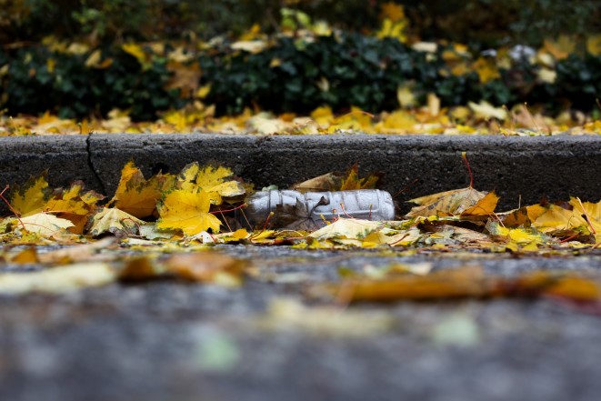 PROBLEMI DEL CONSUMO DI ACQUA IN BOTTIGLIA